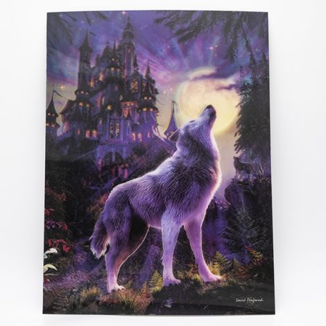 Poster 3D "Loup & Château"