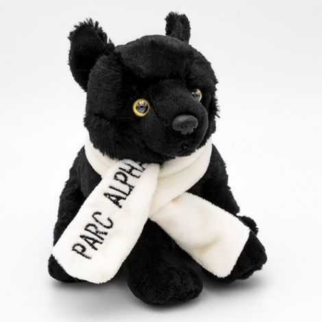Loup noir  & Echarpe Alpha