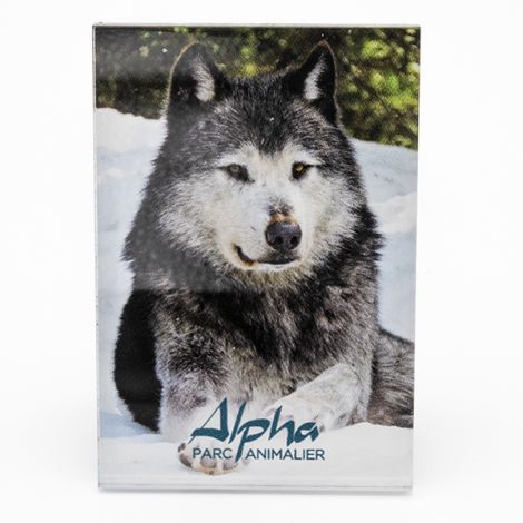 Magnet plexi "Loup canadien"