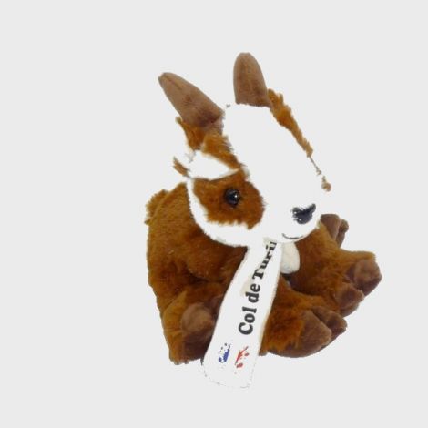 Chamois  & Echarpe Col de Turini