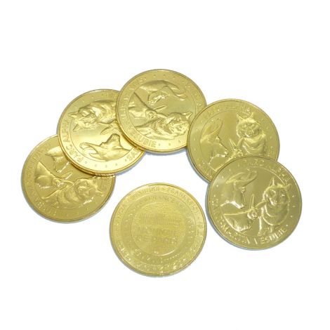 Médaille souvenir Alpha 2018